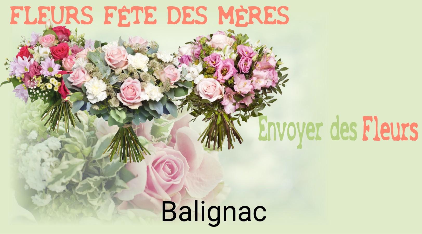 Bouquet de Fête des Mères livré à Balignac